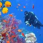 Why You Should Avoid Flying Right After Scuba Diving