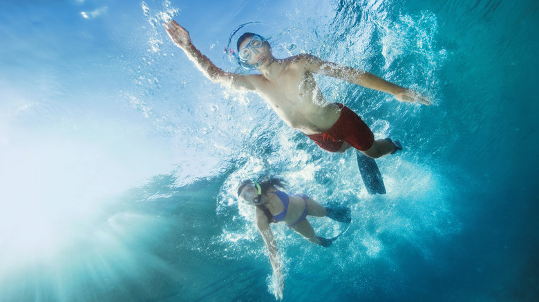 Couple snorkeling and swimming