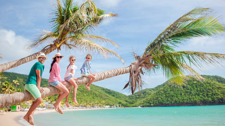 Family on a palm tree